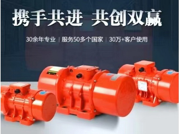  振動(dòng)電機 